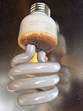 Description: http://www.goodbadbulbs.com/wp-content/uploads/2013/10/commercial-electric-cfl-burned.jpg