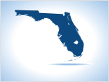 Mike Holt Florida Electrical Contractor Exam Preparation